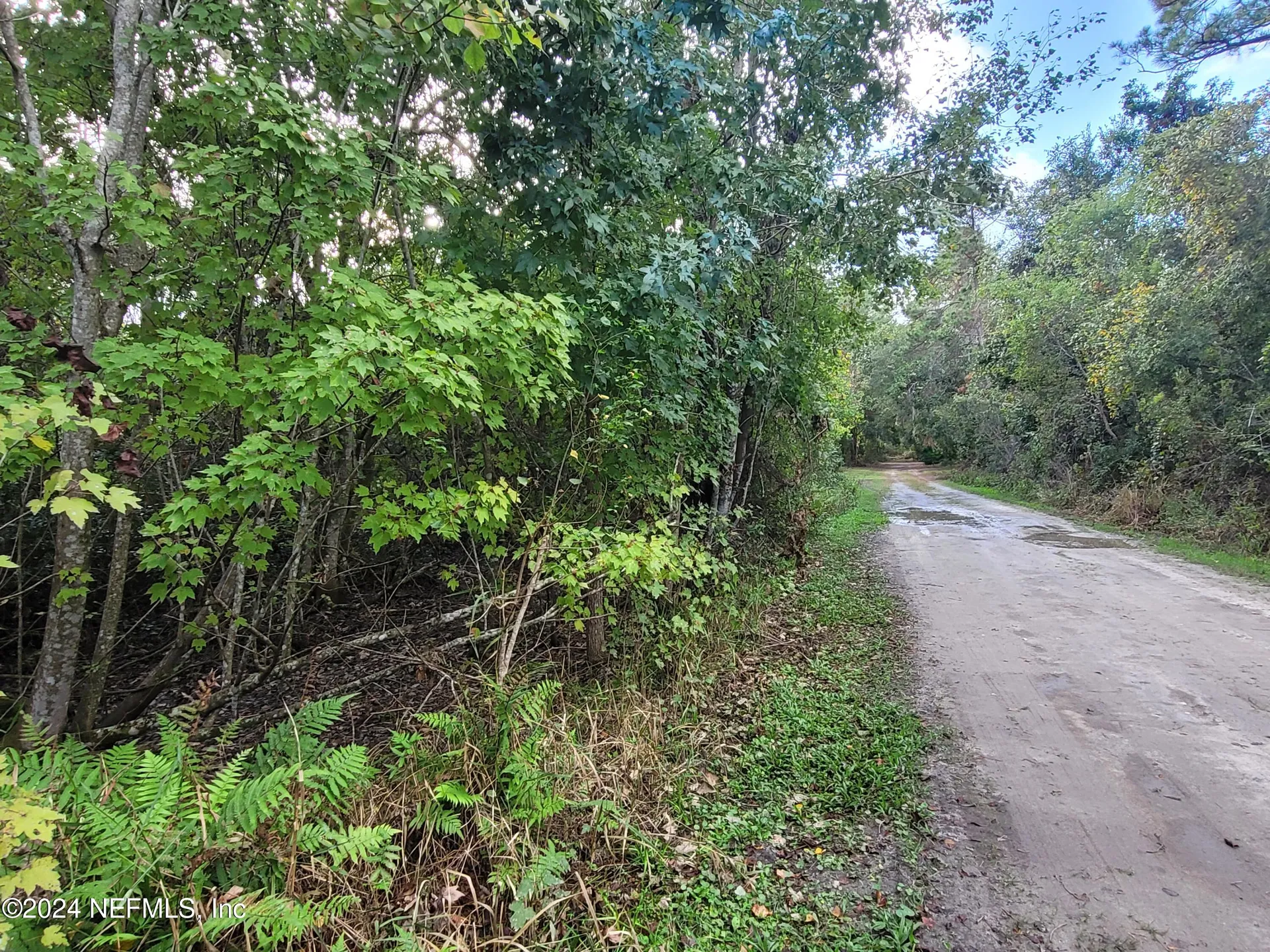 0 Logan Avenue Crescent City FL 32112