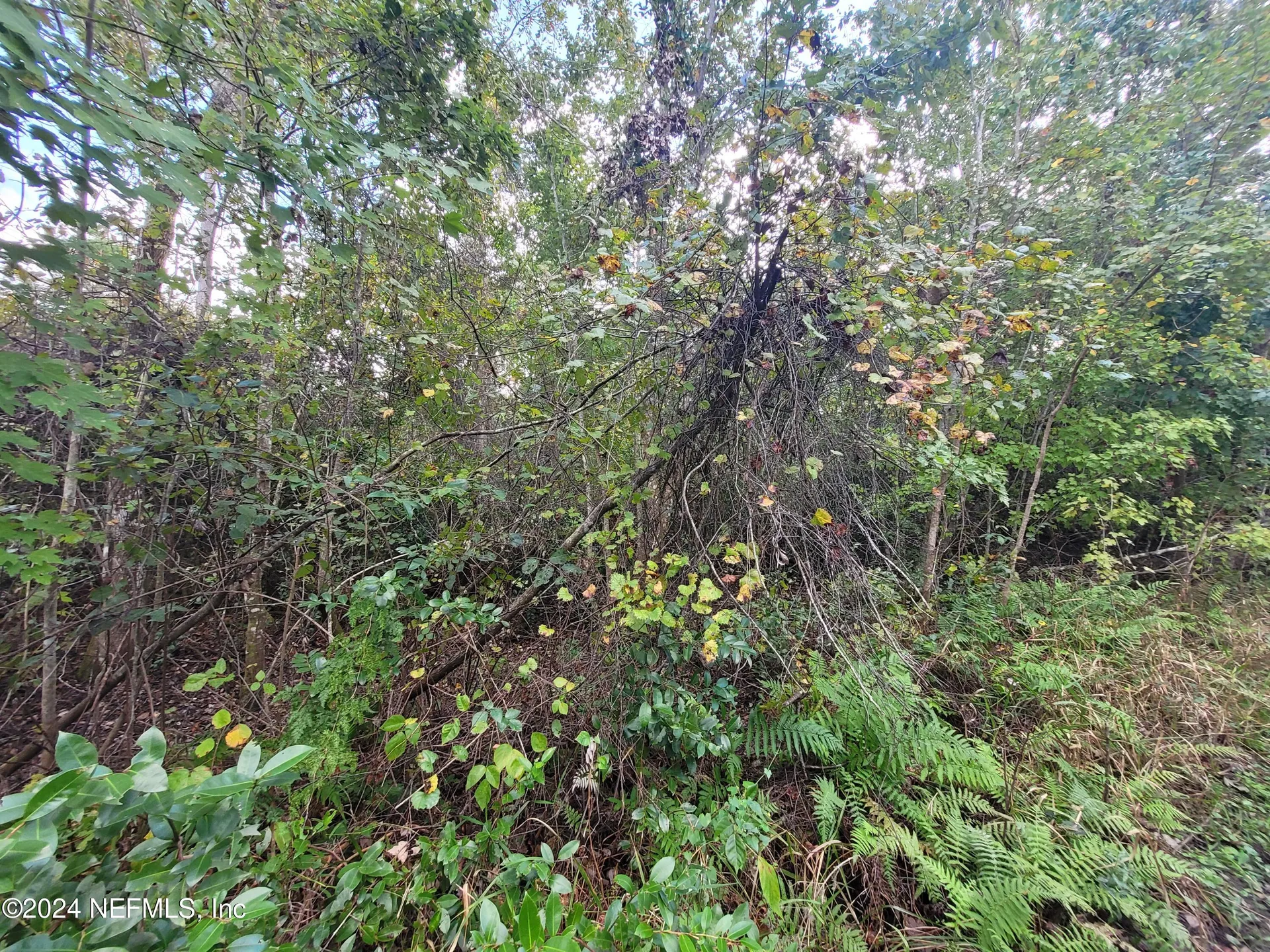 0 Logan Avenue Crescent City FL 32112