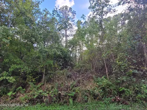 0 Logan Avenue Crescent City FL 32112