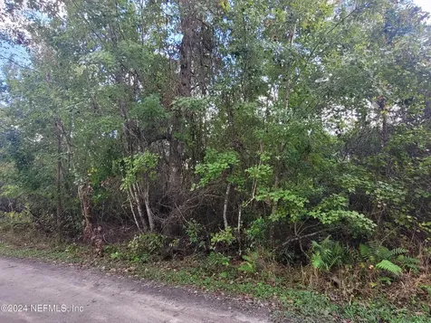 0 Logan Avenue Crescent City FL 32112