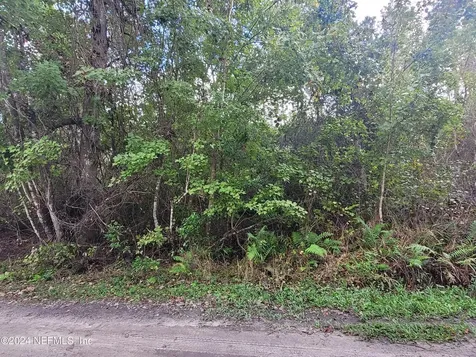 0 Logan Avenue Crescent City FL 32112