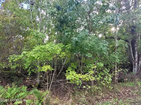 0 Logan Avenue Crescent City FL 32112