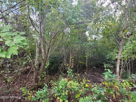 0 Logan Avenue Crescent City FL 32112