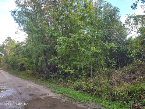 0 Logan Avenue Crescent City FL 32112