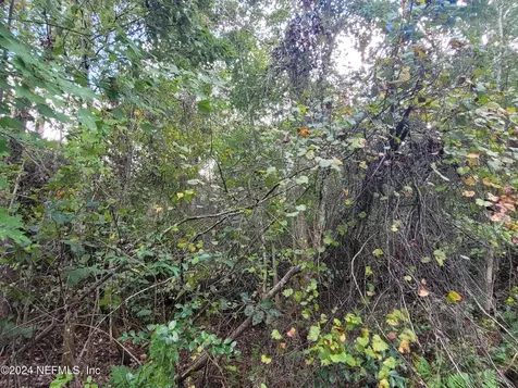 0 Logan Avenue Crescent City FL 32112