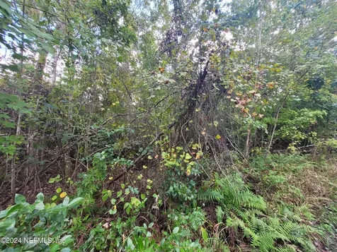0 Logan Avenue Crescent City FL 32112