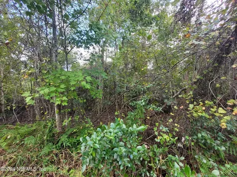 0 Logan Avenue Crescent City FL 32112