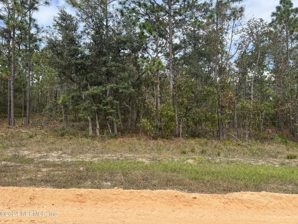 255 Melrose Landing Drive Hawthorne FL 32640