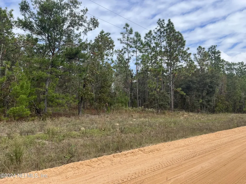 255 Melrose Landing Drive Hawthorne FL 32640