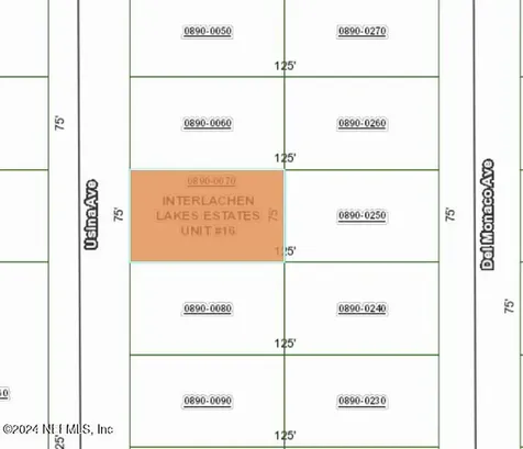 0 Usina Avenue Interlachen FL 32148