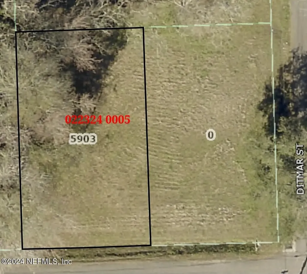 5903 Dunmire Avenue Jacksonville FL 32219