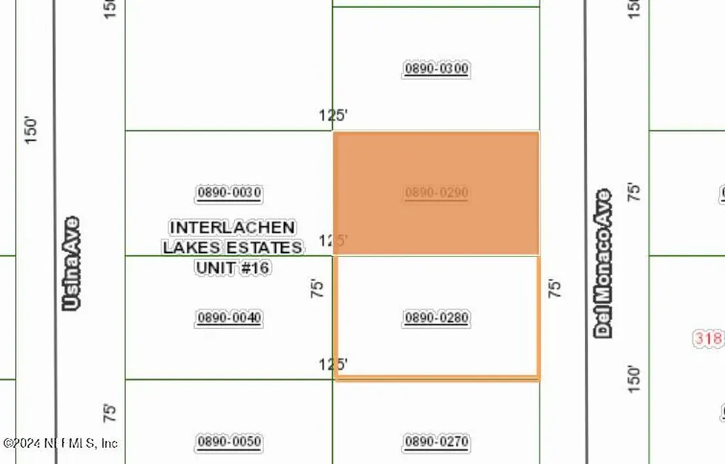 0 Del Monaco Avenue Interlachen FL 32148