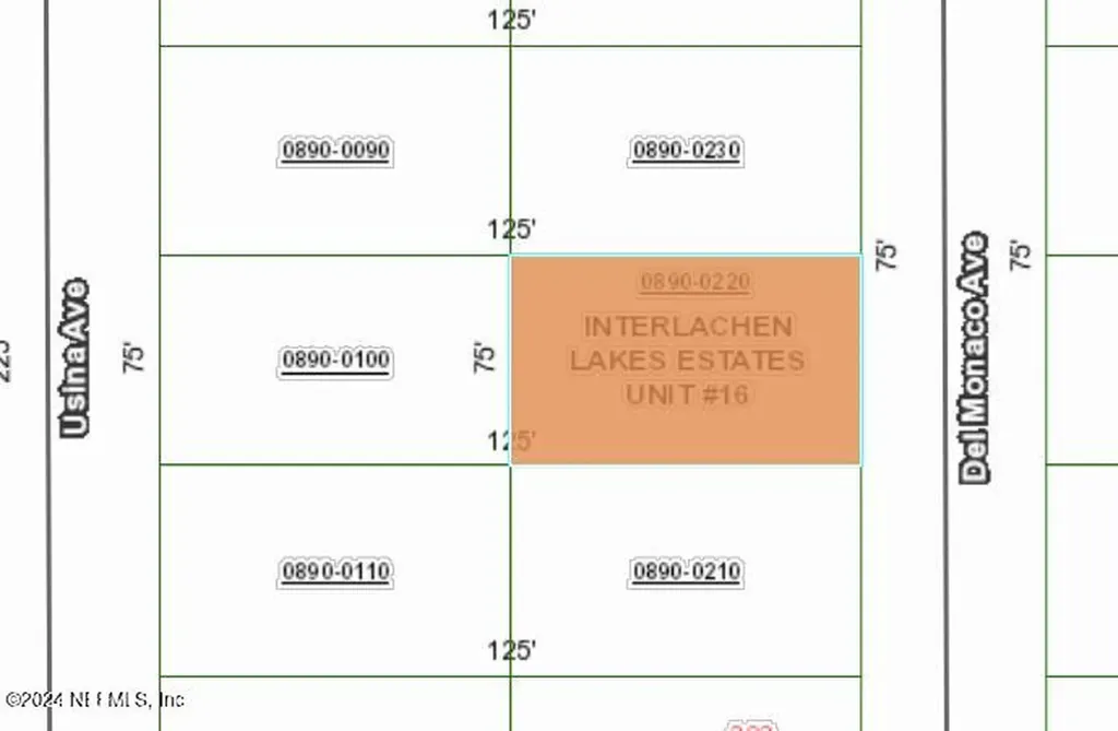 0220 Del Monaco Avenue Interlachen FL 32148