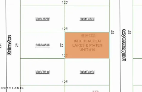 0220 Del Monaco Avenue Interlachen FL 32148