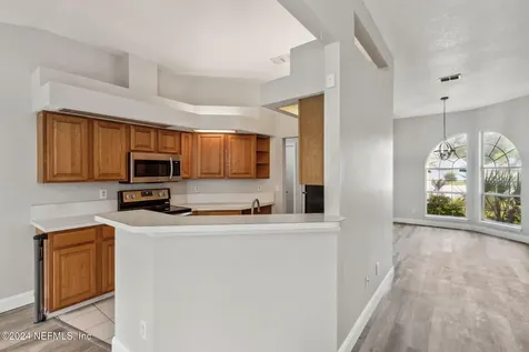 1475 Dog Fennel Court Orange Park FL 32073