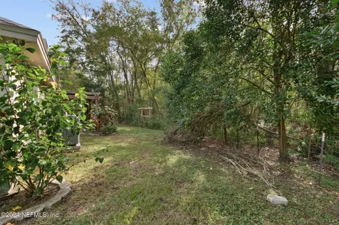 1475 Dog Fennel Court Orange Park FL 32073