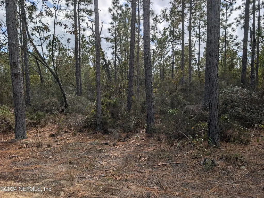 40 Frisco Avenue Interlachen FL 32148