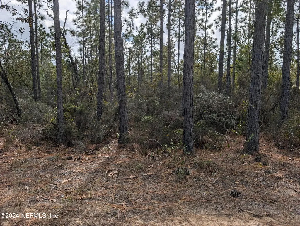 40 Frisco Avenue Interlachen FL 32148
