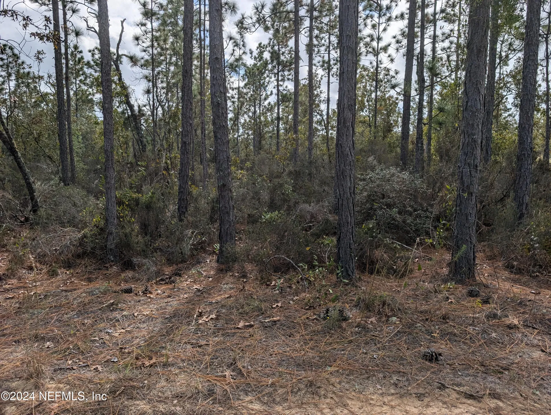 40 Frisco Avenue Interlachen FL 32148