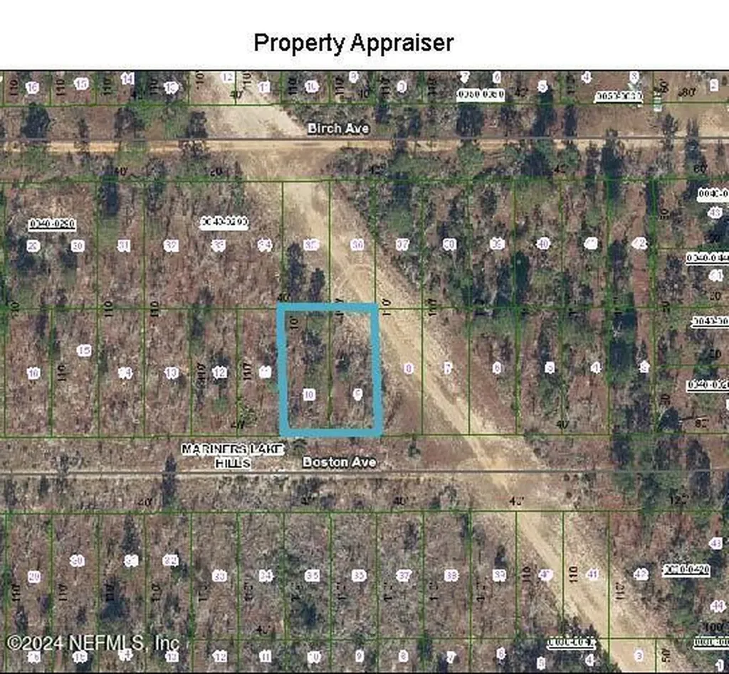 0 Boston Avenue Interlachen FL 32148