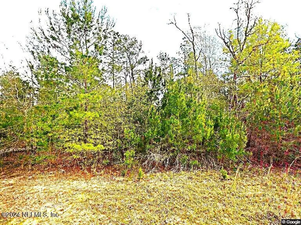 110 Del Monaco Avenue Interlachen FL 32148