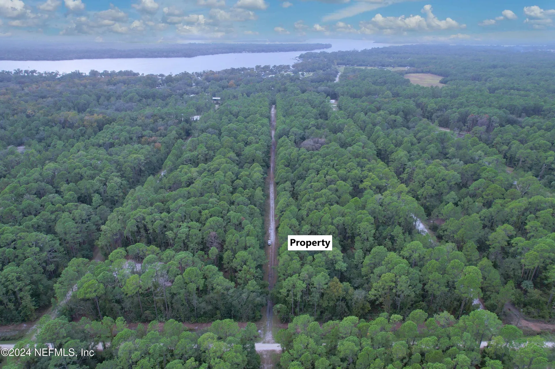 136 Helen Avenue Georgetown FL 32139