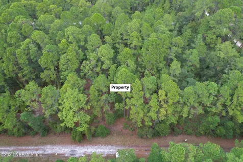 136 Helen Avenue Georgetown FL 32139