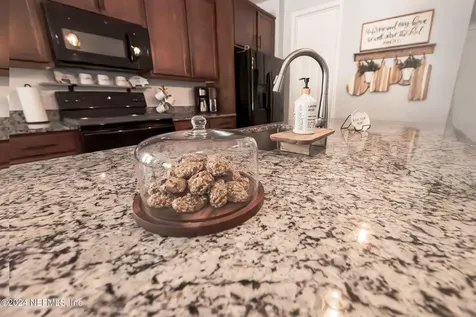 3354 Traceland Oak Lane Green Cove Springs FL 32043
