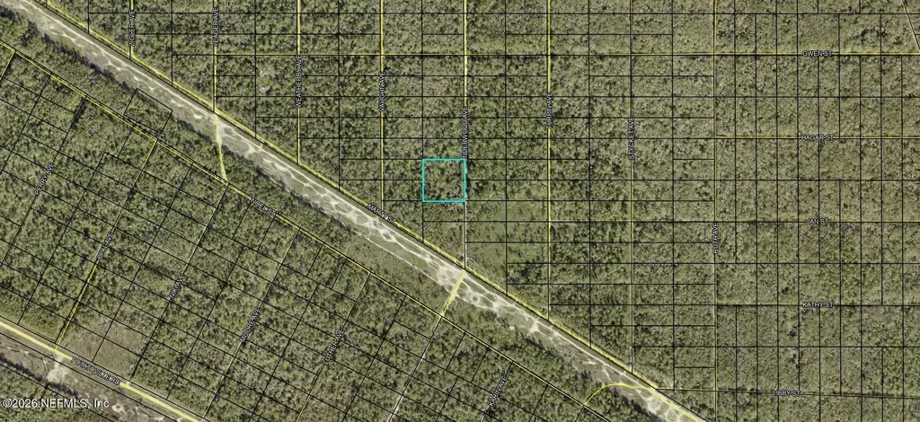 0000 Underwood Avenue Hastings FL 32145