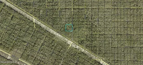 0000 Underwood Avenue Hastings FL 32145