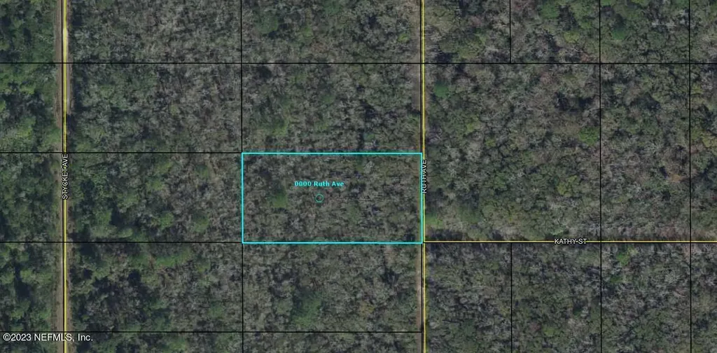 0000 Ruth Avenue Hastings FL 32145
