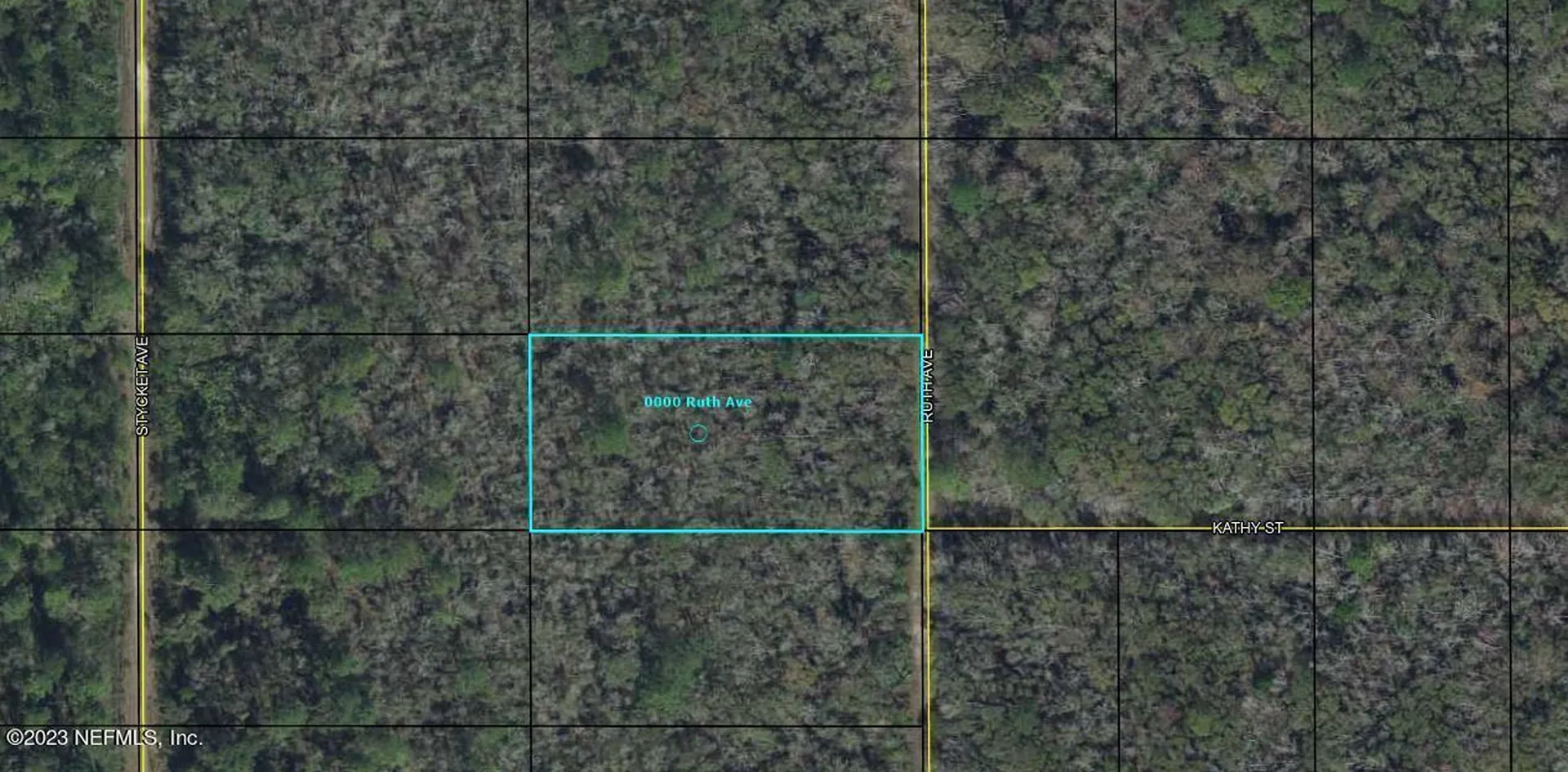 0000 Ruth Avenue Hastings FL 32145