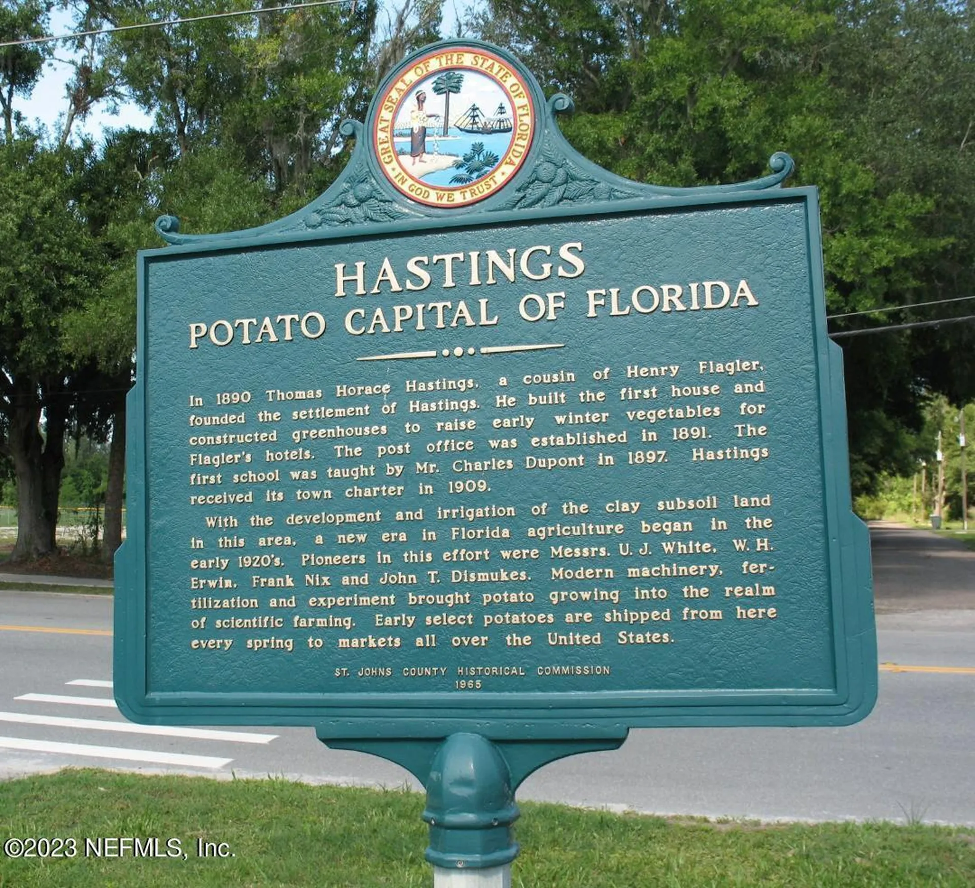 0000 Ruth Avenue Hastings FL 32145