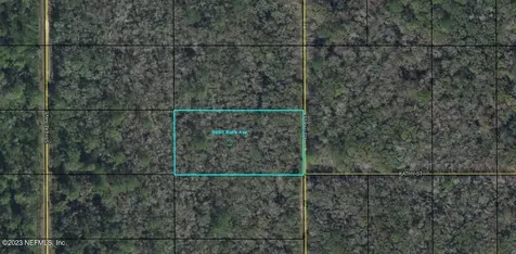 0000 Ruth Avenue Hastings FL 32145