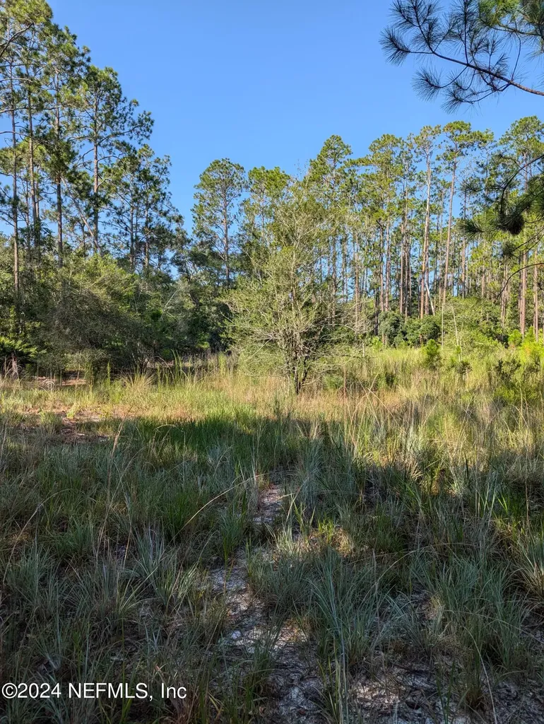 0 Garcia Street Interlachen FL 32148