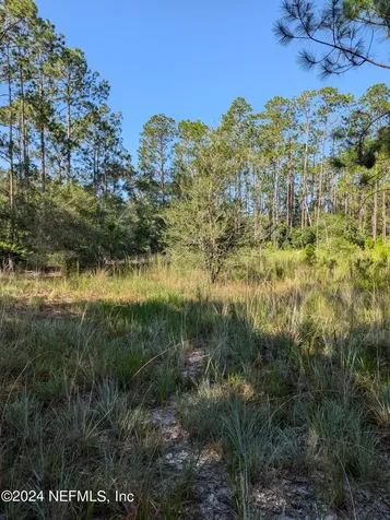 0 Garcia Street Interlachen FL 32148