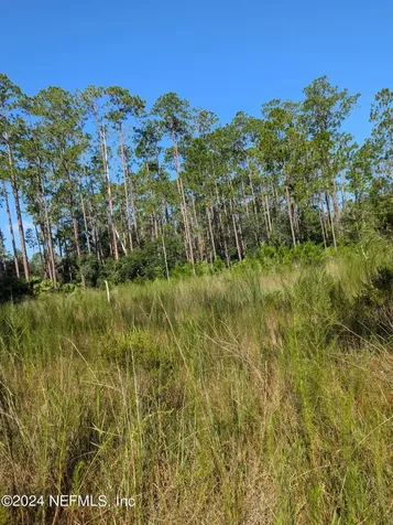 0 Garcia Street Interlachen FL 32148