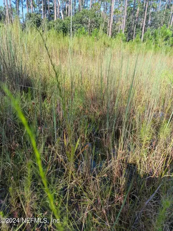 0 Garcia Street Interlachen FL 32148