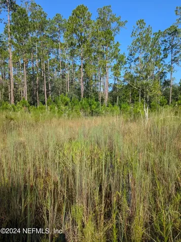 0 Garcia Street Interlachen FL 32148