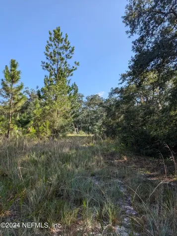 0 Garcia Street Interlachen FL 32148