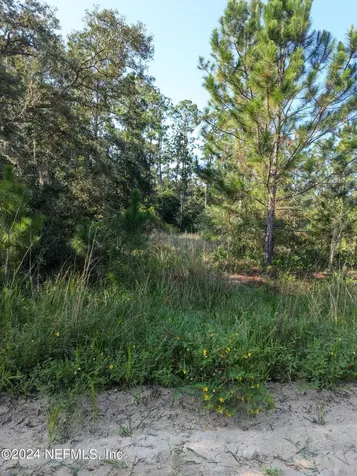 0 Garcia Street Interlachen FL 32148