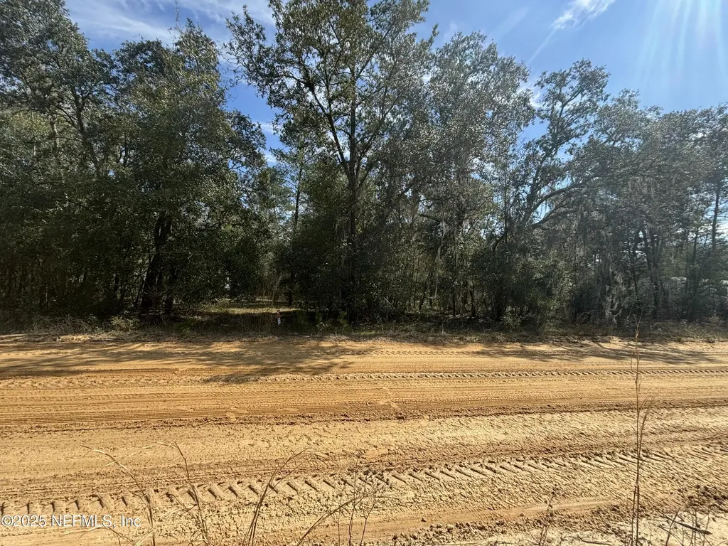 0000 David Avenue Interlachen FL 32148