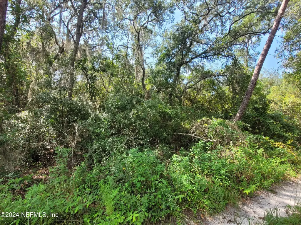 124 Pleasant Drive Crescent City FL 32112