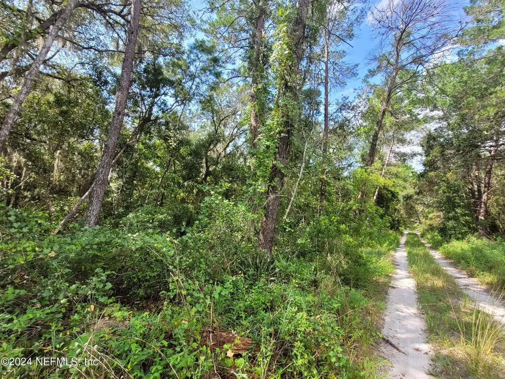 124 Pleasant Drive Crescent City FL 32112