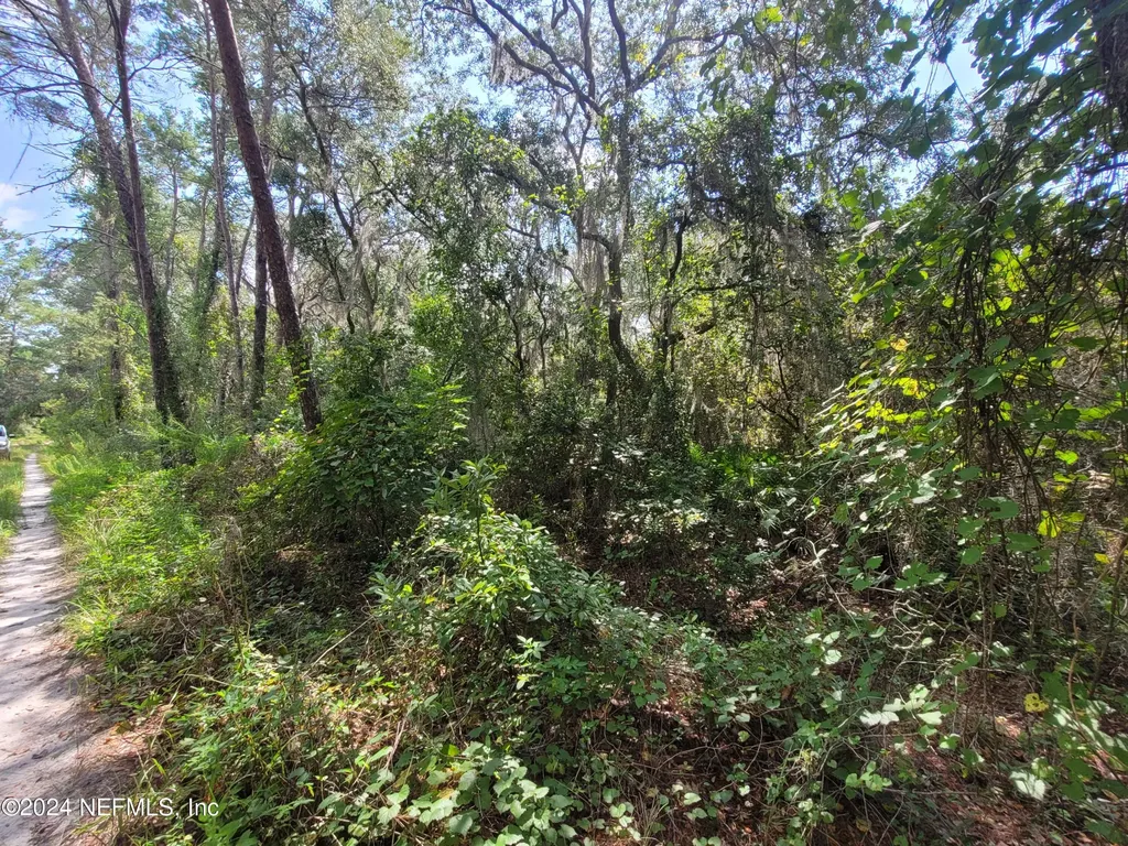 124 Pleasant Drive Crescent City FL 32112