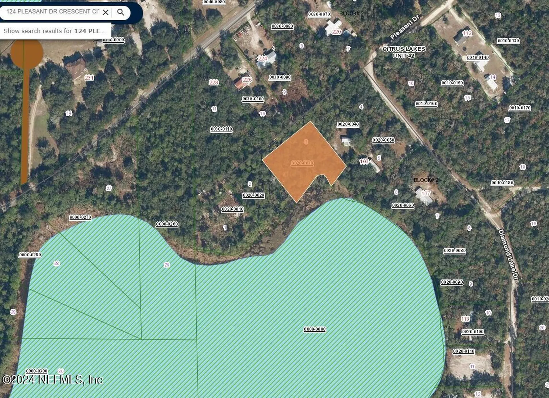 124 Pleasant Drive Crescent City FL 32112