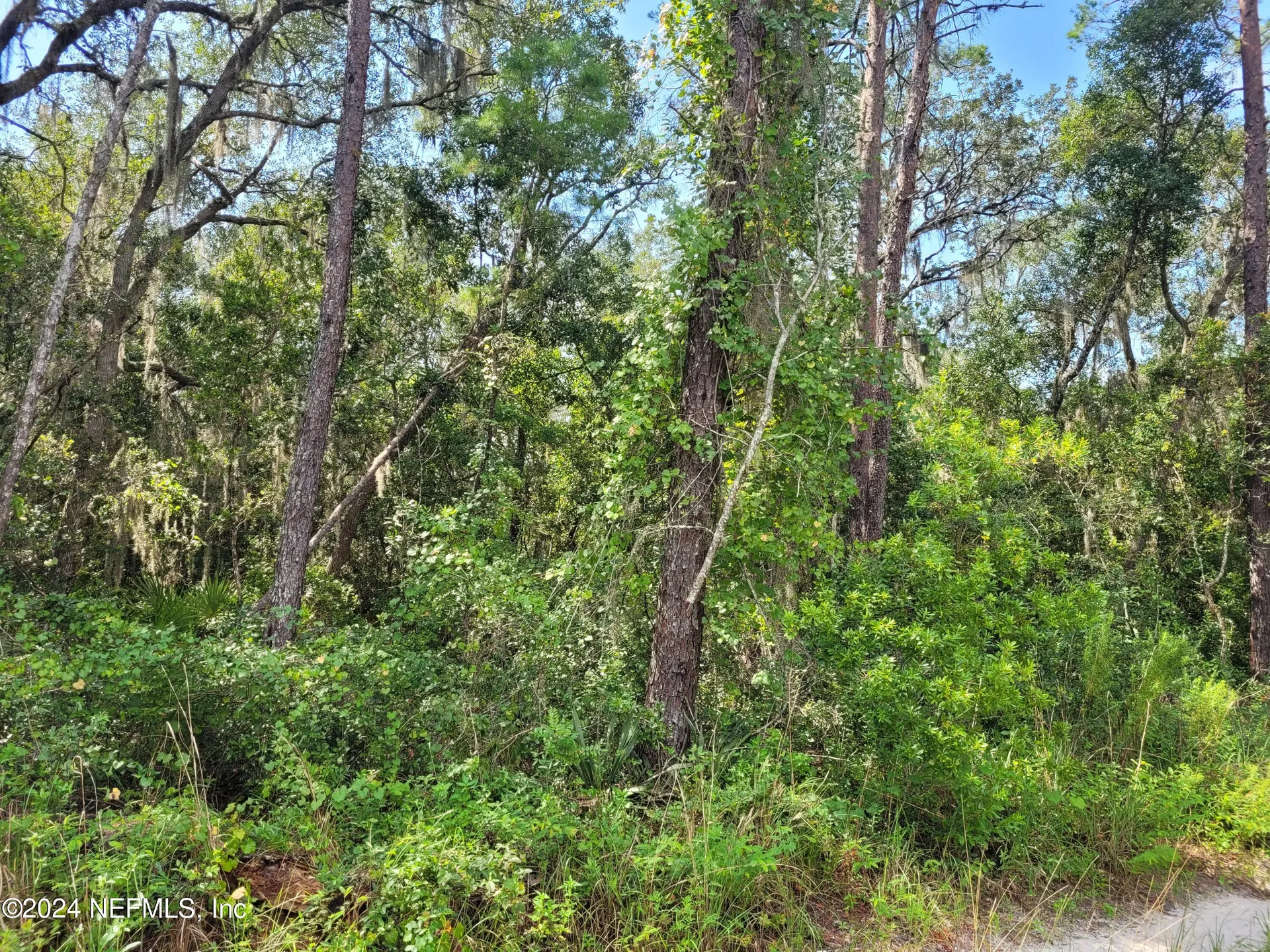 124 Pleasant Drive Crescent City FL 32112