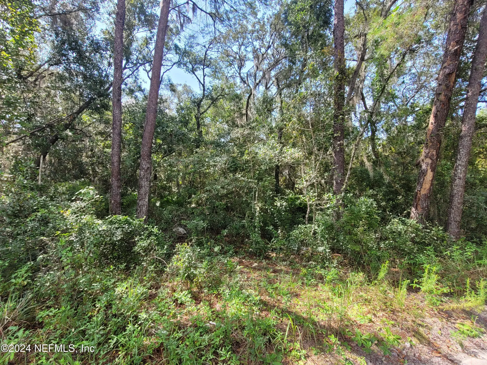 124 Pleasant Drive Crescent City FL 32112