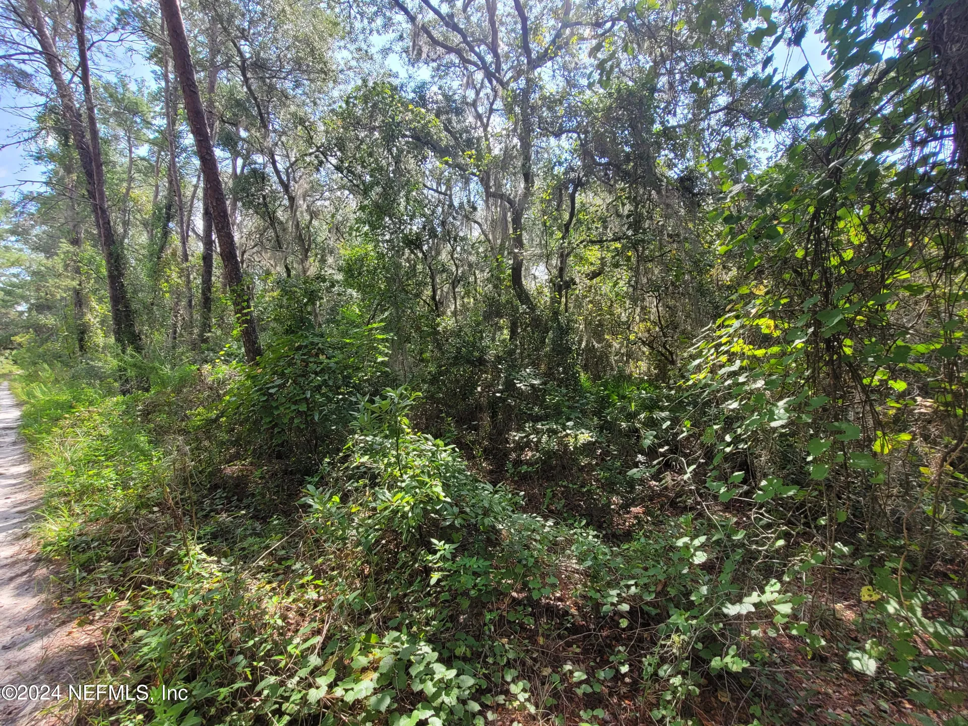 124 Pleasant Drive Crescent City FL 32112