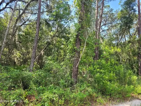124 Pleasant Drive Crescent City FL 32112